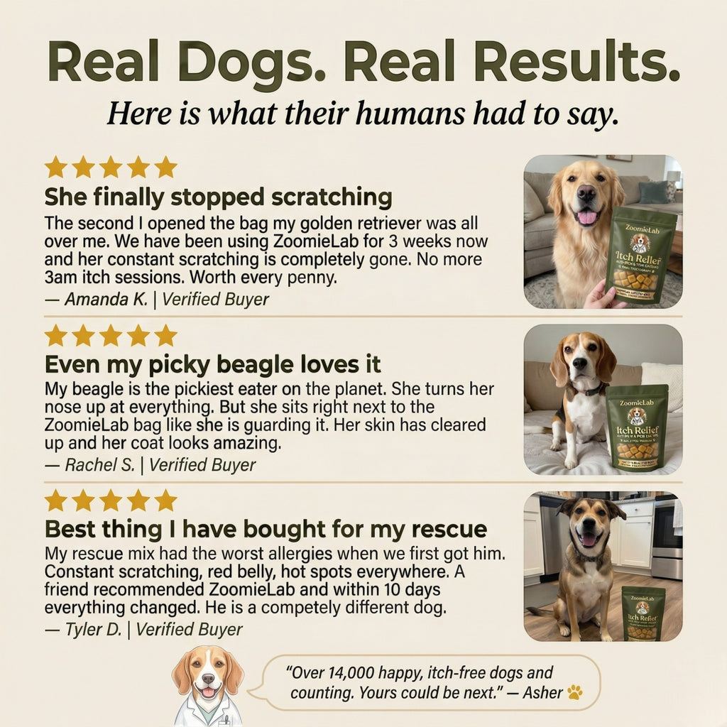 Vet formulated Allergy & Itch Relief Probiotic Chews