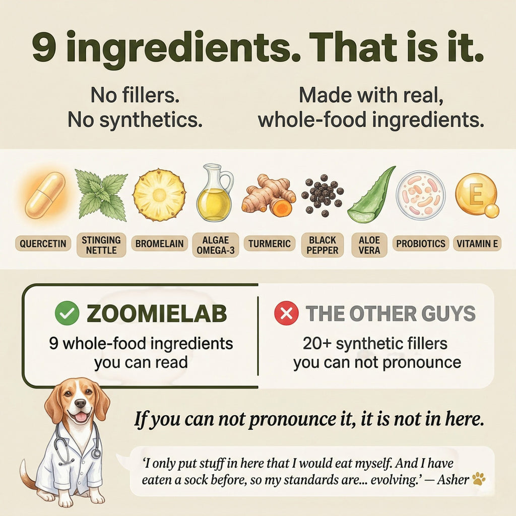 Vet formulated Allergy & Itch Relief Probiotic Chews