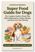 Super Food Guide For Dogs E-Book