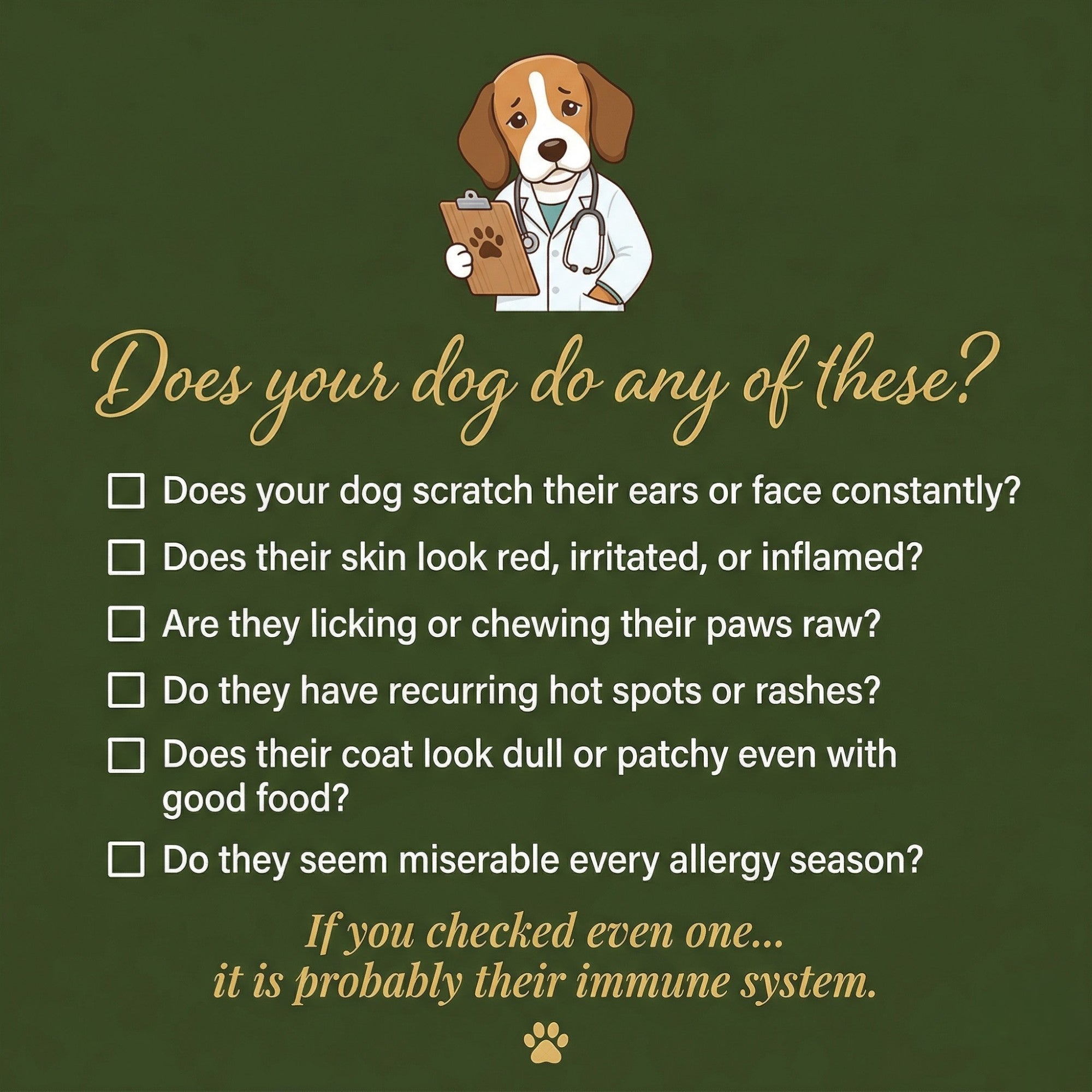 Vet formulated Allergy & Itch Relief Probiotic Chews