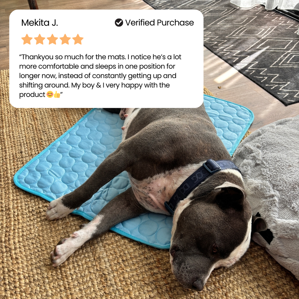 #1 Vet Recommended Orthopedic Cooling Mat by zoomie labs