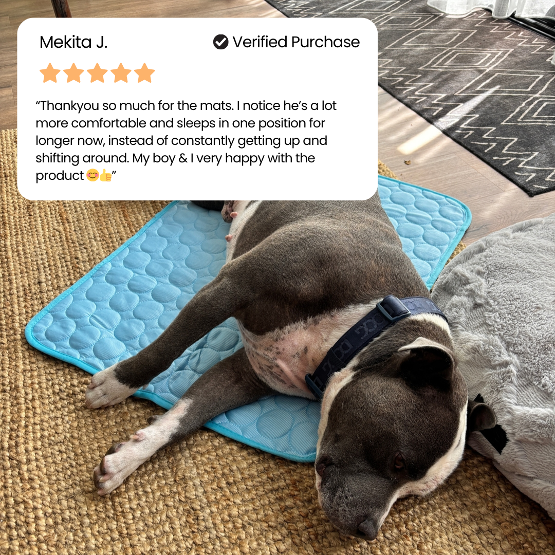 #1 Vet Recommended Orthopedic Cooling Mat by zoomie labs