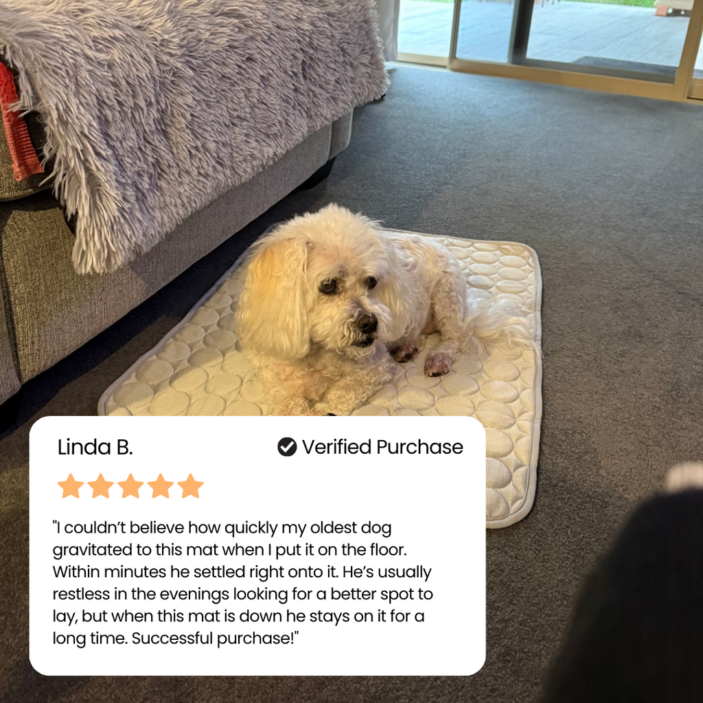 #1 Vet Recommended Orthopedic Cooling Mat by zoomie labs