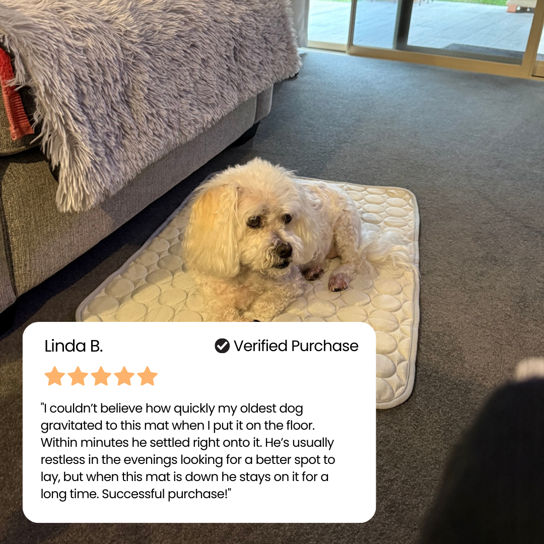 #1 Vet Recommended Orthopedic Cooling Mat by zoomie labs